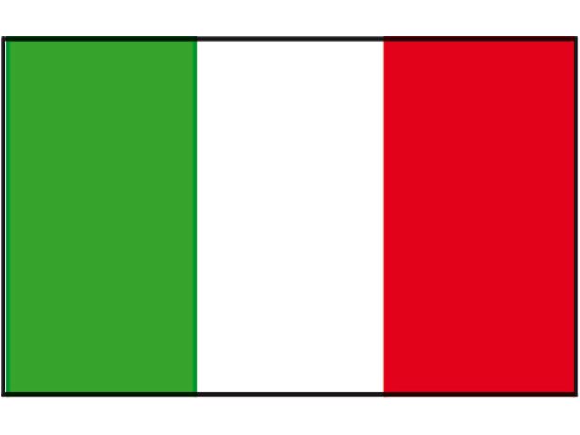Vlag Italie 30 x 45 cm Katoen