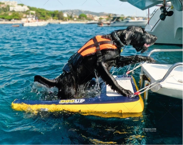 Hond klimt via opblaasbare DOGUP hondenladder aan boord van een boot.