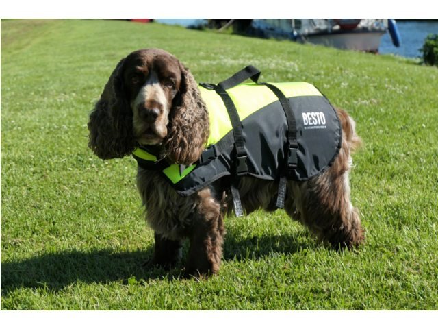 Besto hondenzwemvest de luxe - Bateau Bootservice