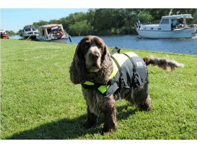 Besto hondenzwemvest de luxe - Bateau Bootservice