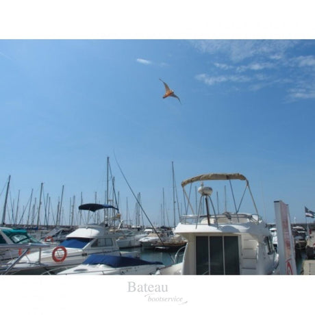Stop Gull Falcon met 5 meter paal - Bateau Bootservice