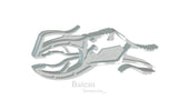 FIXCLIP MINI 16-PACK WHITE - Bateau Bootservice